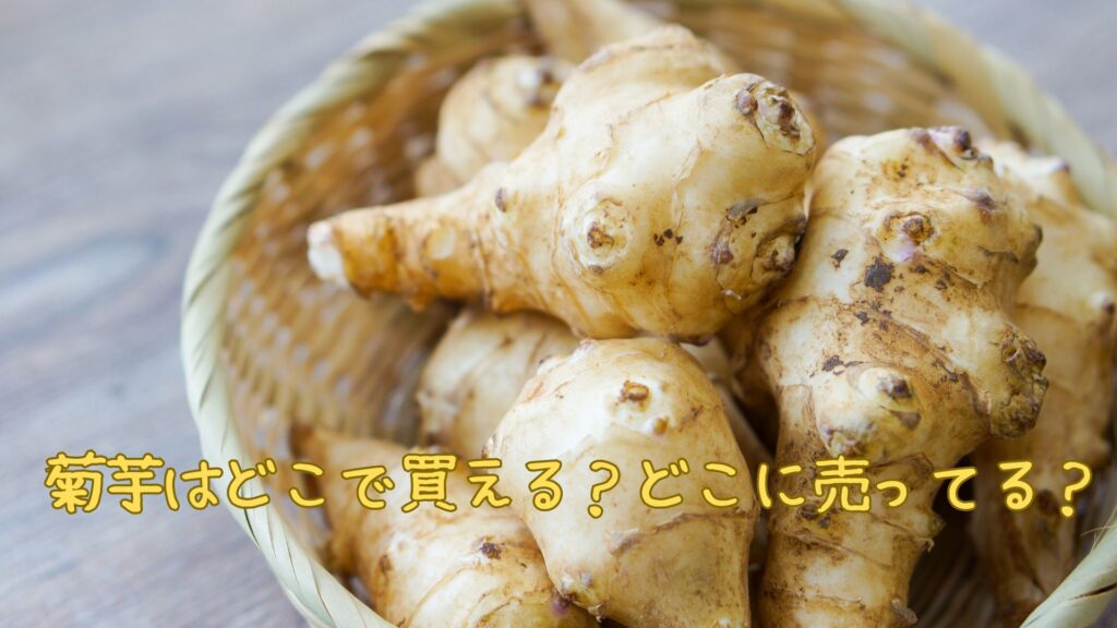 菊芋はどこで買える？どこに売ってる？